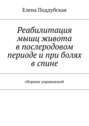 Реабилитация мышц живота в послеродовом периоде и при болях в спине