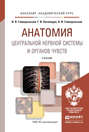 Анатомия центральной нервной системы и органов чувств. Учебник для академического бакалавриата