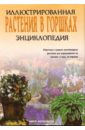 Растения в горшках. Иллюстрированная энциклопедия