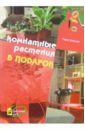 Комнатные растения в подарок