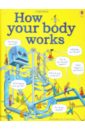 How Your Body Works