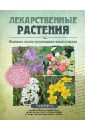 Лекарственные растения. Большая иллюстрированная энциклопедия