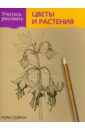 Учитесь рисовать цветы и растения
