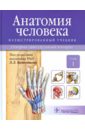 Анатомия человека. Иллюстрированный учебник. В 3-х томах. Том 1