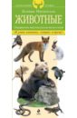 Животные. Определитель животных русских лесов и полей