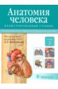 Анатомия человека. Учебник в 3-х томах. Том 2. Спланхнология и сердечно-сосудистая система