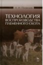 Технология воспроизводства племенного скота. Учебное пособие