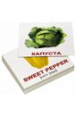 Комплект мини-карточек "Vegetables/Овощи" (40 штук)