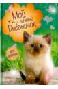 Мой личный дневничок "Котик на зеленой обложке"