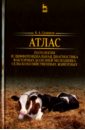 Атлас. Патология и дифференциация болезней молодых сельскохозяйственных животных