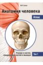 Анатомия человека. Атлас. В 3-х томах. Том 1. Учение о костях, соединениях костей и мышцах