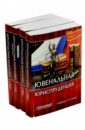 Ювенальная юриспруденция. Учебник. В 4-х томах
