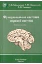 Функциональная анатомия нервной системы. Учебное пособие