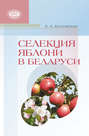 Селекция яблони в Беларуси
