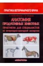 Анатомия продуктивных животных. Практикум для специалистов по ветеринарно-санитарной экспертизе