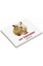 Комплект карточек Мини-20 "Les animaux domestiq. Домашние животные" (французский язык)