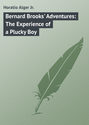Bernard Brooks' Adventures: The Experience of a Plucky Boy