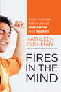 Fires in the Mind. What Kids Can Tell Us About Motivation and Mastery