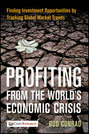 Profiting from the World's Economic Crisis. Finding Investment Opportunities by Tracking Global Market Trends
