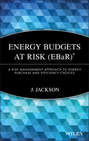 Energy Budgets at Risk (EBaR). A Risk Management Approach to Energy Purchase and Efficiency Choices