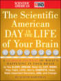 The Scientific American Day in the Life of Your Brain. A 24 hour Journal of What's Happening in Your Brain as you Sleep, Dream, Wake Up, Eat, Work, Play, Fight, Love, Worry, Compete, Hope, Make Important Decisions, Age and Change