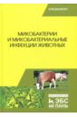 Микобактерии и микобактериальные инфекции животных