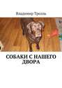 Собаки с нашего двора