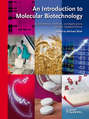 An Introduction to Molecular Biotechnology. Fundamentals, Methods and Applications