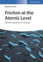Friction at the Atomic Level. Atomistic Approaches in Tribology