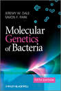 Molecular Genetics of Bacteria