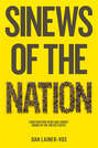 Sinews of the Nation. Constructing Irish and Zionist Bonds in the United States