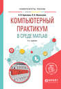 Компьютерный практикум в среде matlab 2-е изд. Учебное пособие для вузов