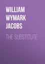 The Substitute