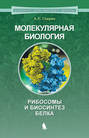 Молекулярная биология. Рибосомы и биосинтез белка