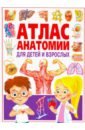 Атлас анатомии для детей и взрослых
