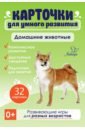 Домашние животные. 32 карточки