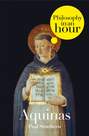 Thomas Aquinas: Philosophy in an Hour