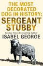 The Most Decorated Dog In History: Sergeant Stubby