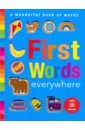 First Words Everywhere: A Wonderful Book of Words
