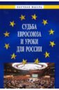 Судьба Евросоюза и уроки для России