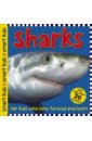 Sharks (Smart Kids Sticker Book)