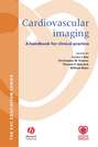 Cardiovascular Imaging. A Handbook for Clinical Practice