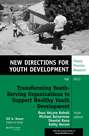 Transforming Youth Serving Organizations to Support Healthy Youth Development. New Directions for Youth Development, Number 139