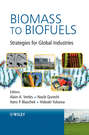 Biomass to Biofuels. Strategies for Global Industries