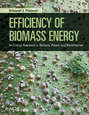 Efficiency of Biomass Energy. An Exergy Approach to Biofuels, Power, and Biorefineries
