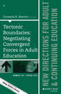 Tectonic Boundaries: Negotiating Convergent Forces in Adult Education. New Directions for Adult and Continuing Education, Number 149