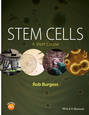 Stem Cells. A Short Course