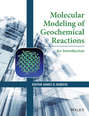 Molecular Modeling of Geochemical Reactions. An Introduction