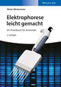 Elektrophorese leicht gemacht. Ein Praxisbuch für Anwender