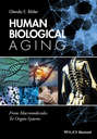Human Biological Aging. From Macromolecules to Organ Systems